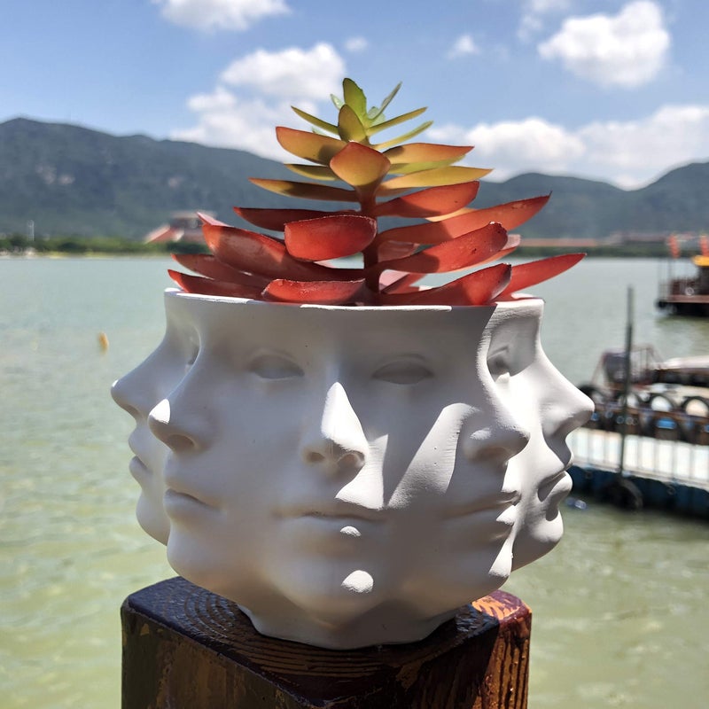 LuckyVin Multi-Face Succulent Planter Vase - Small Face Plant Head Home Decoration - Indoor Cactus Pot - Image 2